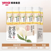 椰泰小轻甘云南金银花凉茶 245ml/瓶装 植物凉茶饮料整箱0香精 金银花凉茶245ml*10瓶