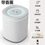 小米有品生态链品牌加湿器空气净化器一体机客厅大面积家用卧室上加水静音 双喷款/助眠灯/带香薰