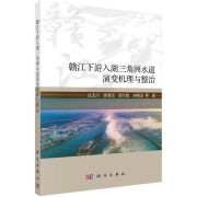 赣江下游入湖三角洲水道演变机理与整治