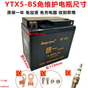 至尊统一YT5L-BS摩托车干电瓶12V5A巧格100 WH100喜悦小公主 SCR100蓄电池 YTX5-BS送火花塞