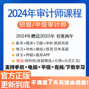 2024年初级中级审计师统计师视频网课电子版讲义教材历年真题库 初级/中级审计相关基础知识 在线题库(有效期一年) 初级/中级审计理论与实务[备注