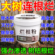 烂根粉大树烂根专用烂根剂灭树粉强力除树灭竹颗粒施撒简单方便 【1桶】试用装