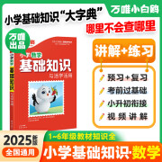 2025小白鸥小学基础知识大全手册数学小升初总复习强化训练一二三四五六年级小白鸽小学通用小初衔接 小学【数学】基础知识与初中衔接 小学通用