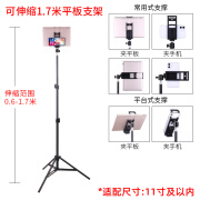 罗技手机懒人支架ipad平板通用支撑架pro家用落地多功能直播拍照架 1.7米加固支架+手机平板 通用夹