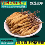 内廷上用北京同仁堂原料冬虫夏草10克高海拔虫草头期干草正宗 高性价比 百里挑一 甄选品质 甄选虫草15支发25支【到手40支】