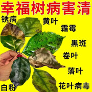 发财树营养液叶子发黄掉叶枯叶落叶起斑烂根客厅盆栽植物专用 买2 送1【到手3瓶发财树专用】