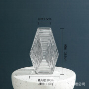 邦恒博北欧ins风高级感插花玻璃花瓶假花百合家居餐桌装饰简约花 菱形小号（透明