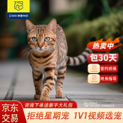 柴墨精品孟加拉豹子猫猫咪活体银白色宠物猫【签订正规合同】有芯片 宠物级 【孟加拉豹子猫】 【公母可选】