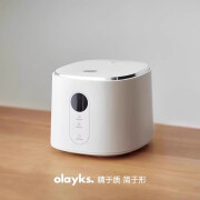 欧莱克（olayks）立时日韩电饭煲家用多功能3升低糖小型电饭锅3一4一5人 陶白色