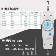 艾固（Ai Gu）指针式推拉力计 拉力仪压力计NK-50/100/200/300/500 NK-10N(1KG)拉力大只有1kg