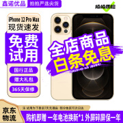 Apple iPhone 12Pro Max 苹果12promax 国行全网通5G 二手苹果手机 金色 99新靓机256G国行【更换电池100%+大礼包】