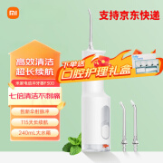 小米（MI）米家电动冲牙器F300洗牙器水牙线 创新散射脉冲 4档模式3种喷嘴 2 米家电动冲牙器F300烟纱白