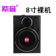 九音汽车座椅音响12v车载专用超重低音车用改装座位下24v低音炮重 8寸12V裸机