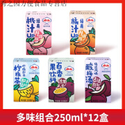 通惠桃汁250ml*24盒整箱怀旧果汁饮料水蜜桃汁柠檬茶酸梅汤 4-5个味组合250ml*12盒【品尝】