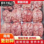 鹿玥盏10斤羊脑新鲜冷冻生羊脑髓脑花羊杂汤火锅羊肉汤食材清真烧烤商用 1斤