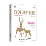 SQL进阶教程（第2版）（图灵出品）