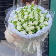 浪漫季节鲜花同城配送茉莉花花束毕业生日祝福表白送老婆闺蜜 33朵白玫瑰-茉莉花