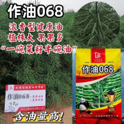 四川万德油菜籽种子作油068油菜种子浓香型油质好油菜花菜籽种子