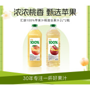 汇源苹果桃混合果汁2L*2瓶大容量家庭装纯果汁饮料 2L*2瓶 (阳光柠檬)