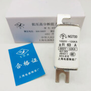 云启格快熔NGT00-63A 80A100A 160A 660V快速熔断器 上海电器陶瓷厂 NGT00 660V 20A