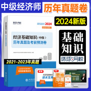 环球网校 2024年经济师（中级）考试用书 中级经济师2024教材配套真题试卷 2024年中级经济师历年真题试卷押题 经济专业技术经济师教材配套历年真题冲刺模拟卷经济基础工商管理金融人力 经济基础知识