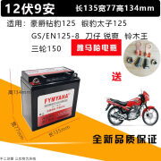 哈奇马雅马哈宗申大阳隆鑫12V9A三轮摩托车通用干电瓶免维护蓄电池免加 12V9A