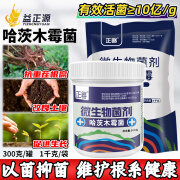 正器哈茨木霉菌抗重茬根腐改良土壤果树蔬菜花卉促生根微生物菌剂 300g