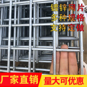 镀锌铁丝网片围栏小孔加粗养殖网狗笼养殖建筑钢筋长孔网格网钢丝 网孔4*4cm 粗度4.0mm1.2m*2m