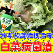 菌立清杀菌剂正品白菜杀虫专用药病菌清软腐病根肿杀菌软腐病菜地 一瓶