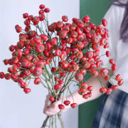 穆淳傲小南瓜长寿果鲜花酸浆果唐棉蔷薇果小众花材高贵直发 蔷薇果一束多支