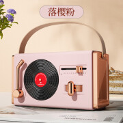 乐廷（Rolton）复古蓝牙音箱便携户外居家低音炮精品礼品古典手提式插卡U盘音响 C20麦克风音箱(白色) C220复古音箱(落英粉)