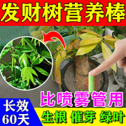 艾尚棵植物营养棒营养片缓释肥通用型花肥料复合肥促开花养花专用懒人肥 一盒【30支】 45g 1盒