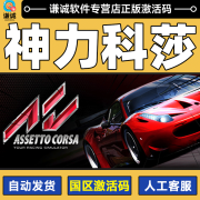 Steam游戏 神力科莎Assetto Corsa 国区激活码CDK 完全版