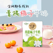 光合颜究所青提栀子牛奶整箱礼盒光合颜究所太子饮料零食儿童学生盒装早餐奶 【尝鲜装】青提栀子200ml*4盒