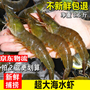 新鲜海捕大虾超大海虾特大对虾鲜活冷冻基围虾明虾生鲜大虾水产 1800g 13-14cm 一盒约70多只左右