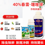 龙克均20%噻菌铜果蔬溃疡软腐病青枯病枯萎病细菌性角斑病杀菌剂 30g(5袋)