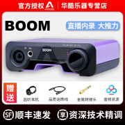 怡同科技（YEAHTONE）APOGEE BOOM专业外置声卡DSP效果器直播乐器录音2进2出音频接口 BOOM声卡【技术精调+顺丰速发】