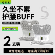 思菲其2件装护腰坐垫办公室久坐矫正坐姿垫夏季不闷热椅子垫均码通用款