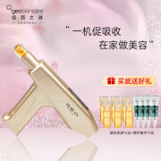 纽西之谜（geoskincare）水光枪家用玻尿酸精华原液导入仪无针无痛纳米微晶美容补水保湿 纳米水光仪套盒