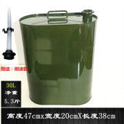 美光（Meguiar's）加厚30L汽油桶10L20L30升汽车摩托车备用柴油箱小型便携式加油桶 30升单把送管送手套