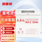 凯普锐12V24AH蓄电池6-GFM-24直流屏UPS电源EPS电源等专用储能型铅酸蓄电池 12V-24AH