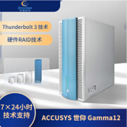 ACCUSYS世仰Accusys Gamma12磁盘阵列柜 12盘雷电3存储/磁盘阵列（192TB） 192TB