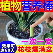 艾尚棵植物营养棒缓释棒通用植物营养缓释片懒人型肥料通用型氮磷钾肥 一盒【30支】 45g 1盒