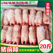 GEO猪蹄子一箱10斤 新鲜猪蹄 冷冻带筋猪前蹄 生鲜猪手 饭店卤菜店食 大号猪蹄【20-23个/带筋前蹄】