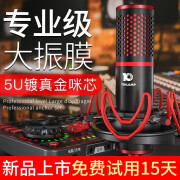 十盏灯P10 48V大振膜手机电脑声卡套装 K歌主播外置电容麦克风直播喊麦录音K歌主播麦克风话筒设备 P10单麦克风【专业48V大振膜】