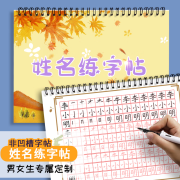 定制姓名名字练字帖定制名字描红本幼儿童名字练习本幼儿园描红训练字帖小学姓名幼儿描红本名字练习册 G款-小公主-秋天的喜悦