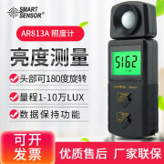 AR813A/AR823高精度测光表照度计光度计灯光亮度明度光通量LUX勒斯检测仪 AR813A标配