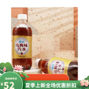 延中上海专享乌梅汁380ml*12瓶整箱夏盐汽水降温解暑碳酸汽水饮料 延中 乌梅汁380ml*12瓶团购可优