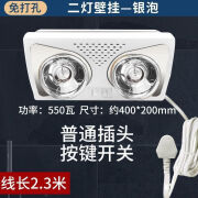 1+浴霸壁挂式免打孔爆水二灯泡取暖灯卫生间浴室灯暖风机挂墙 免打孔安装 二灯壁挂式+银泡+普通插头