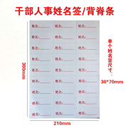 10张干部人事档案盒配套背脊条贴姓名加厚白卡侧面标签插纸文件夹 10张姓名每张30个